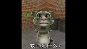咆哮猫恶搞之很真实的教师现状