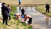 雌天鹅腿缠风筝线伴侣一直守护 救护站：它们对爱情忠贞
