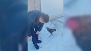 “暴躁鸡”上线！公鸡被说丑还挨扇 雪地狂追男子报仇笑翻网友