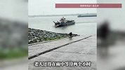 卖菜老人没赶上船，轮渡开走又返回接上，船长：否则她要在雨中等两小时