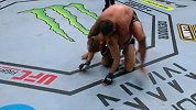 UFC on ESPN第14期：温盾VS古斯塔夫森
