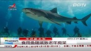 晨光新视界-20120229-食用鱼翅或致老年痴呆
