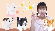 会撒娇爱卖萌的猫咪？沐子为它们花光了零花钱  乐吉儿趣玩家族