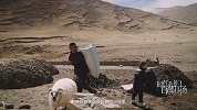 网络纪录片《探秘长江源》之藏地烟火