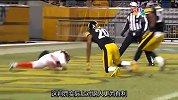 NFL-1314赛季-常规赛-第十五周-猛虎VS钢人集锦-集锦