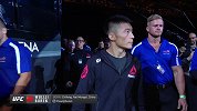 “驯兽师”淡定入场 期待UFC新年开门红