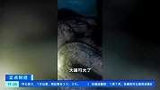 真没少吃！ 百斤大蟒蛇潜伏在村民鱼塘内偷吃