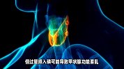 甲状腺结节，不可以吃“豆腐干”？提醒：保护甲状腺，五物少吃