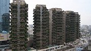 成都一小区8栋30层高楼栽满20余种植被 每家都有“森林”