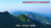 男子登山坠崖40米落地后又翻滚20米，回应网传“玩手机坠崖”
