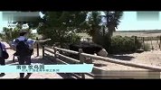 旅游-鸵鸟园