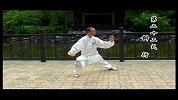 格斗-13年-冷先锋传授：陈式太极拳老架一路2-专题