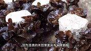 木耳过夜还能吃不