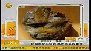 朝阳北票：下井盗挖木化石 7人殒命
