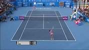 WTA-14年-WTA年度最佳球员候选名单 李娜退役仍入选-新闻