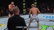 UFC格斗之夜第148期主赛全程（王琰博）