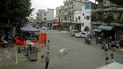 官方通报老人被狗绳绊倒摔亡：系意外 12岁女孩牵邻居家狗玩