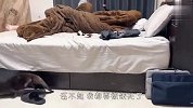 主人赖床不起，水獭差点气炸跑去叫，场面笑爆了