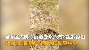 【四川】广安也有恐龙？前锋区疑似发现大量恐龙骨骼化石
