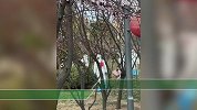 青岛一归国发烧女子跳窗逃跑被医护人员追回？官方：正在调查中