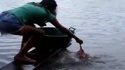 猛！少女不用鱼竿也能抓食人鱼。