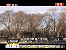 踏冰落入什刹海  众人搭板急救援 