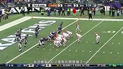 NFL-1415赛季-常规赛-第17周-克利夫兰布朗10：20巴尔的摩乌鸦-精华