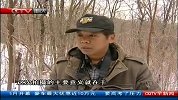 重庆早新闻-20120406-珲春自然保护区拍摄到4只野生虎豹照片