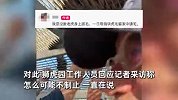 多名游客隔铁网狂薅老虎毛！称“多薅点镇宅避邪”，景区回应