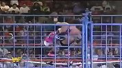 WWE-50大冠军战役第6战：《夏日狂潮1994》布雷特哈特vs欧文哈特-专题