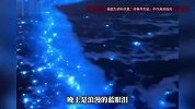 游客打卡“蓝眼泪”留下一地蓝鞋套，平潭海滩变垃圾场，当地回应