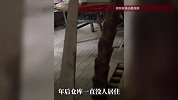 仓库闲置2个月无人打理，女子一开门傻眼：屋内疯狂长笋，地板被顶破