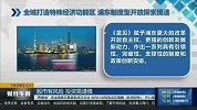 全域打造特殊经济功能区，浦东制造型开放探索提速