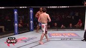 UFC-14年-UFC Fight Night 54自由格斗：特姆诺夫vs拉普斯利-专题