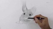 看大神如何用自动铅笔画一只老鼠