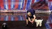 英国达人：天才狗狗秀舞技