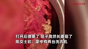 脏毯子忘洗衣机内五六个月，再打开后女子傻眼：毯子竟然长蘑菇了