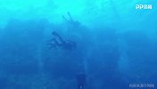 深海惊魂！男子红海潜水 被大白鲨咬住左腿五秒不松口