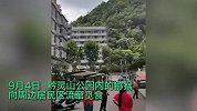 贵州黔灵山群猴窜入小区觅食 官方回应：近期闭园所致，正诱导归园