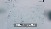 新疆、内蒙古、黑龙江等地开始下雪了！南方人又懵又羡慕：我还开着冷空调呢