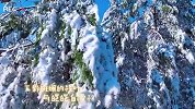 国庆小长假 游客在额尔古纳追金秋遇初雪