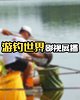 《四海钓鱼》-游钓世界影视展播