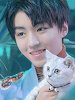 猫系男友王俊凯