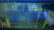 山西一公交司机劝女子带娃下车呕吐 被拖把殴打4分钟