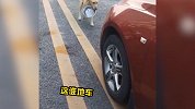 奇葩动物闹翻天，这狗子还学会碰瓷了？！