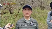 美丽中国行：探访国家公园
