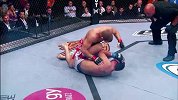 UFC-16年-UFC204完整前瞻：丹亨德森生涯最终战剑指比斯平-专题
