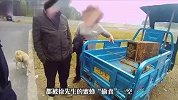 伤亡惨重！两派蜜蜂打起来了！网友：小蜜蜂干架没见过