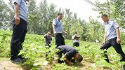 男子20年前强奸杀人 被抓后在作案现场下跪磕头痛哭