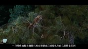 畅姐哔哔哔-第396期-《怪医杜立德》一个能和动物对话的医生